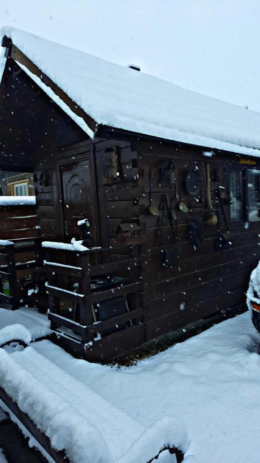 La Curtea Veche Lägenhet Lapus Exteriör bild