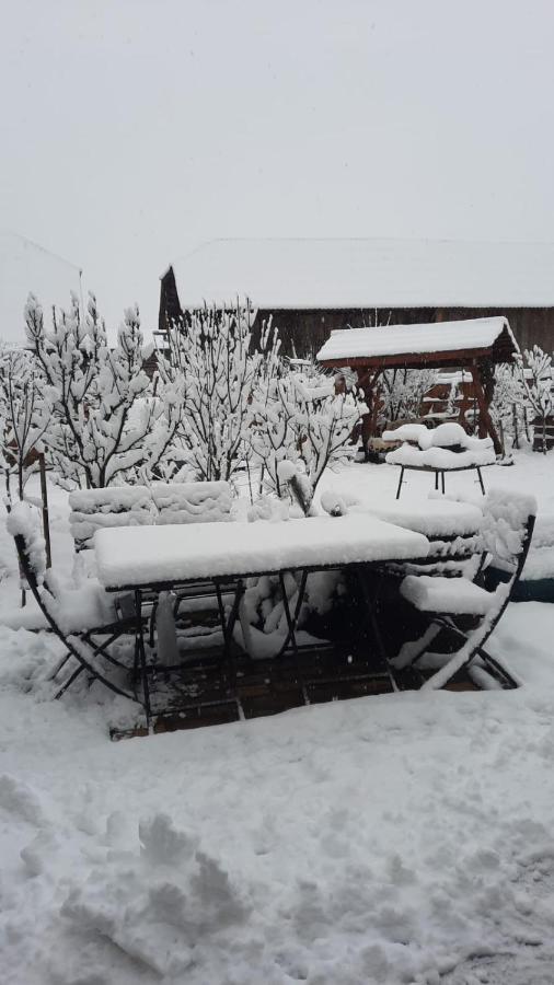 La Curtea Veche Lägenhet Lapus Exteriör bild