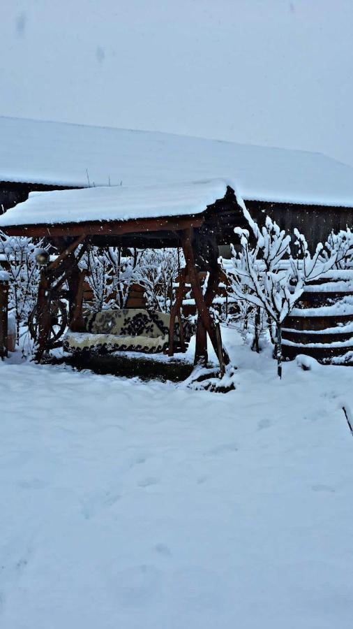 La Curtea Veche Lägenhet Lapus Exteriör bild